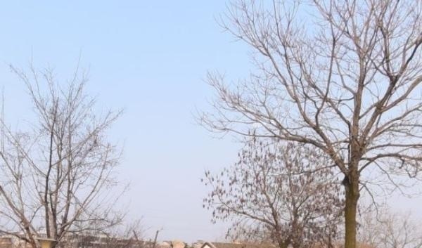 古黄河公园大同广场-买色网