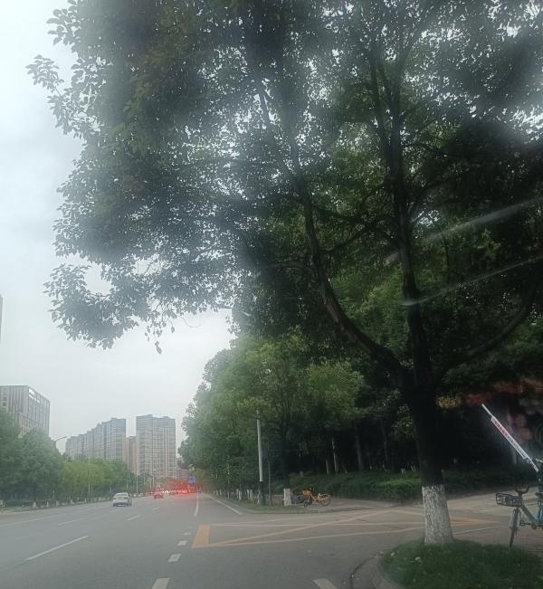 成都温江和平路-买色网
