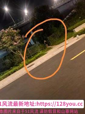 苏州野战少妇-51花探