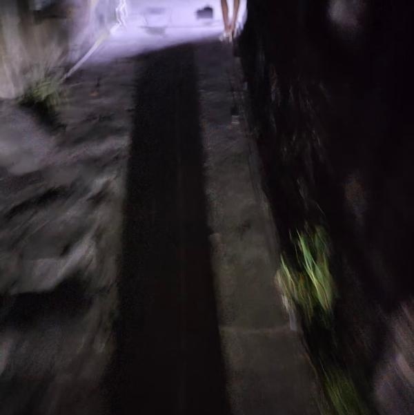布吉站街-51