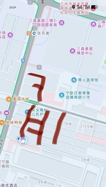 张苏滩站街-51