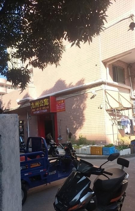 深圳龙岗-51