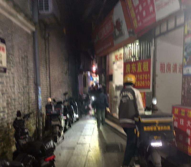 棠下小巷子-51