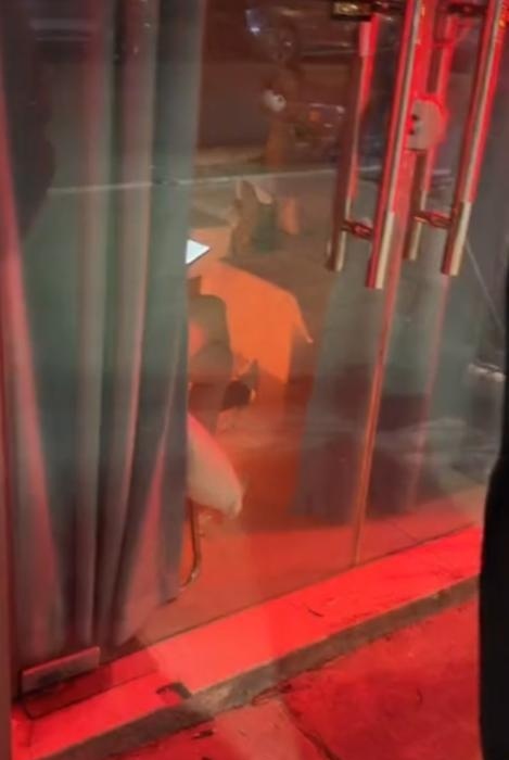 青山饼饼-51