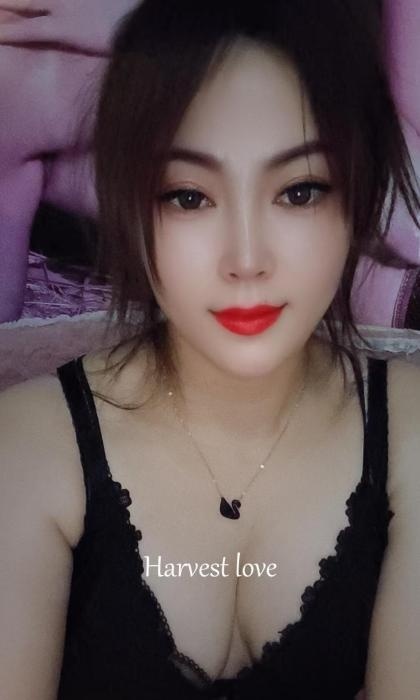姑苏少妇-买色网