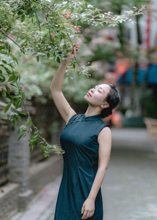 建设路服务控燕子-51