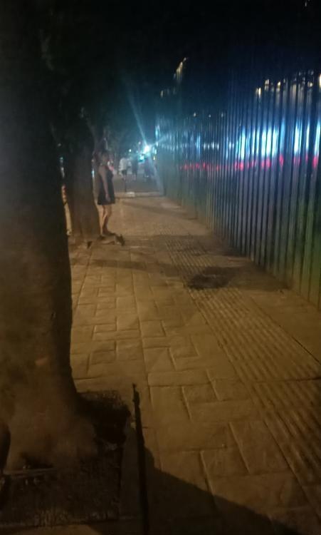 龙泉驿区年轻小妹-51