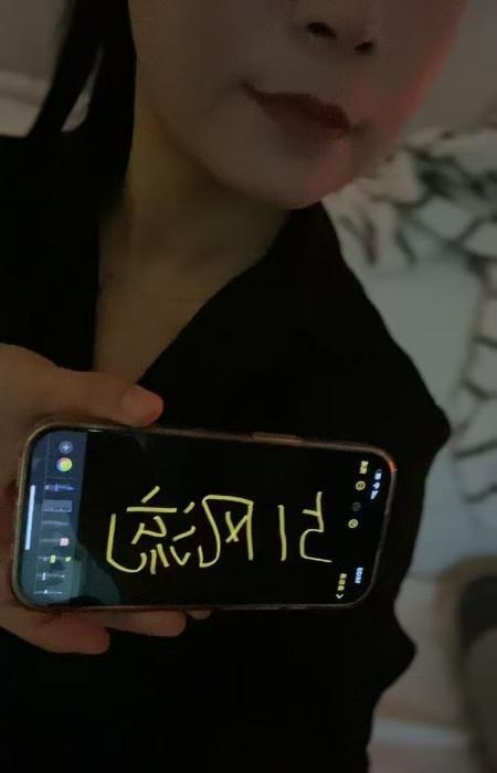 河西美艳少妇-51