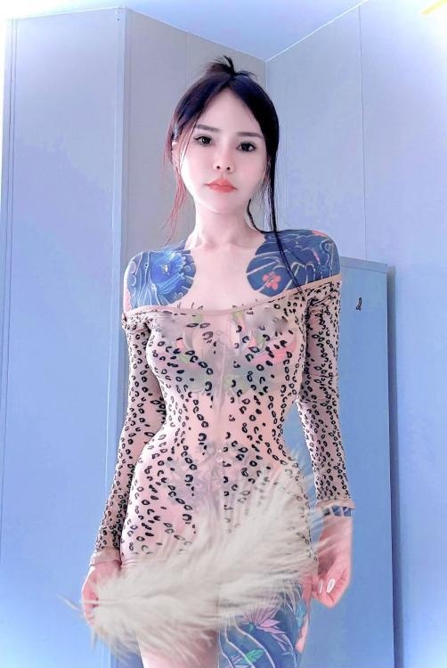 纹身花猫-51