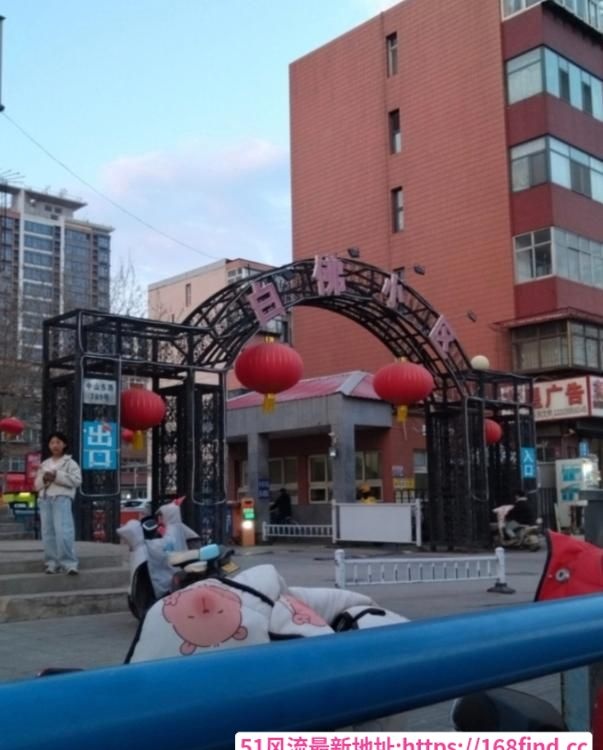 小区门口引路人-51