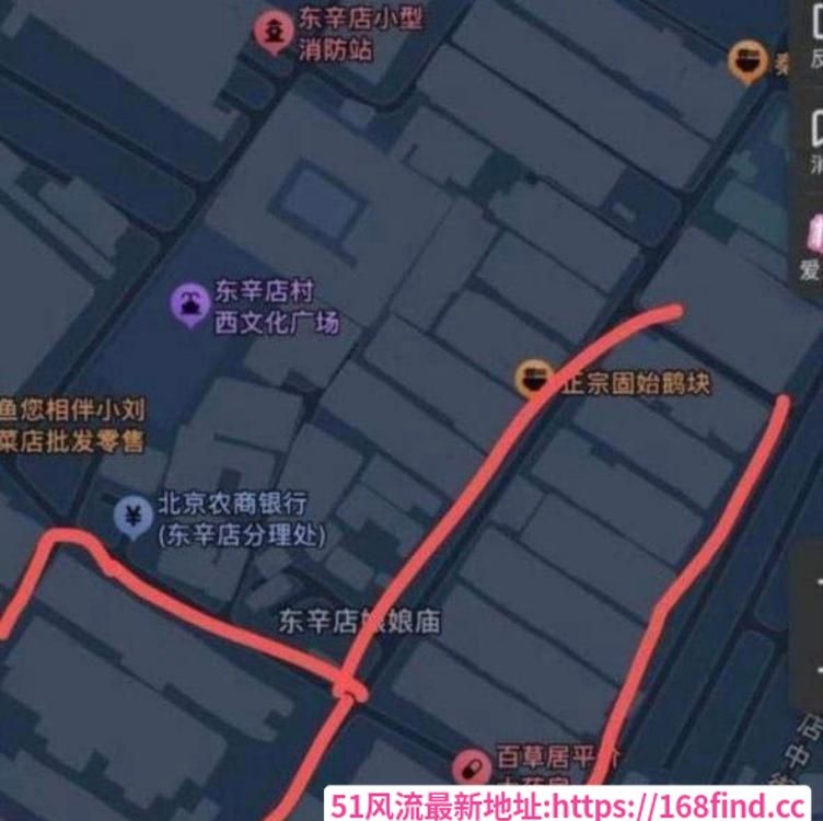 北京朝阳扫街-51